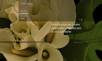 Home page