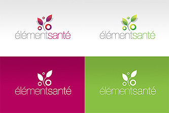 Logo versions