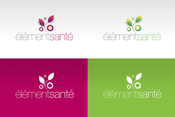 Logo versions