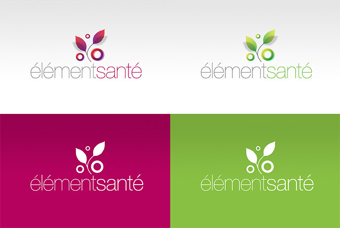 Logo versions