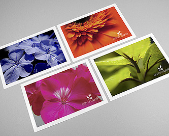 Postcards