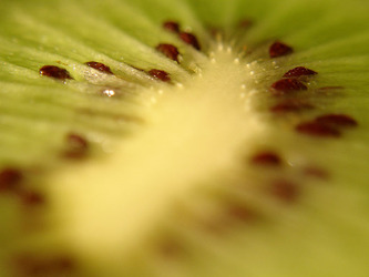 Kiwi