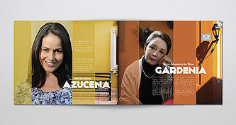 brochure06